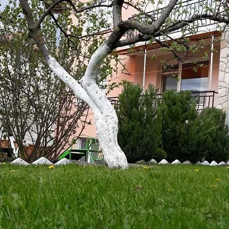 багрянови * Dospat