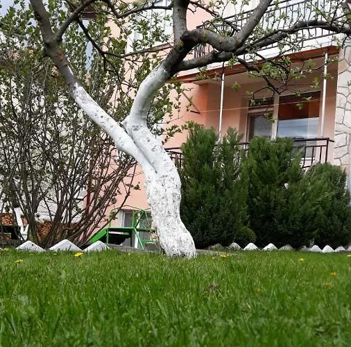 багрянови * Dospat